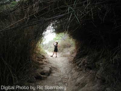 Annie in Boquillas trail arch