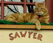 Picture of Sawyer relaxing on top of his workstation