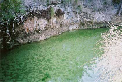 Algae blooms in Green Hole week of 2-14-05