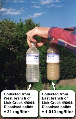 Samples of water collected from the west and east branches of Lick Creek on April 6, 2004.