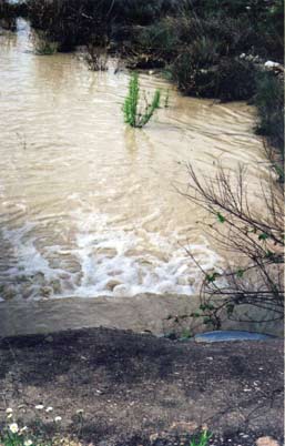 Pollution churns below the low water crossing.