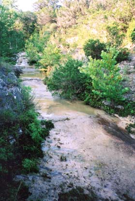 Creek at Green Hole 7/27/04.