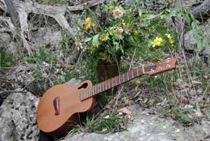 Susan's guitar with flowers