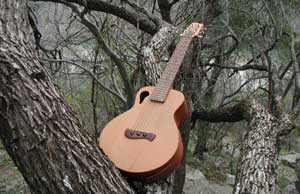Susan's guitar in a tree